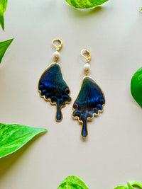 Real Papilio Blumei Peacock Swallowtail Butterfly Wing Earrings with Freshwater Pearls