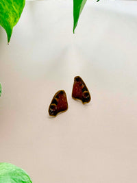 Real Peacock Butterfly Wing Stud Earrings