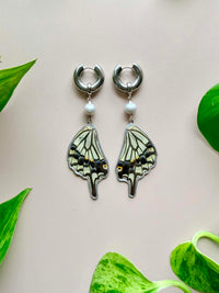 Real Papilio Xuthus Asian Swallowtail Butterfly Wing Earrings with Silver-toned Pearl