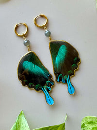 Real Papilio Blumei Peacock Swallowtail Butterfly Wing Earrings with Labradorite