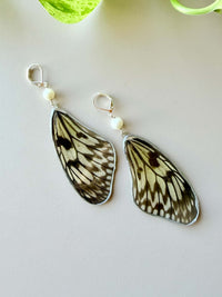 Real Paper Kite (Idea Leuconoe)  Butterfly Wing Earrings with Pearls