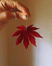 Real Japanese Maple Leaves with Gold Stem Studs