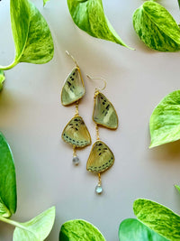 Chained Cutter's Forester Butterfly Wings with Labradorite