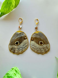Real Caligo Memnon Owl Butterfly Wing Earrings with Mother of Pearl