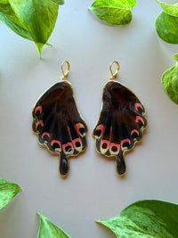 Real Papilio Deiphobus Swallowtail Butterfly Wing Earrings