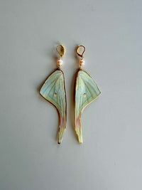 Real Luna Moth Wing Earrings with Pink Pearls