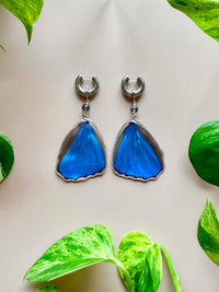 Real Morpho Didius Butterfly Wing Earrings with Labradorite