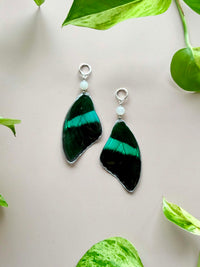 Real Papilio Blumei Peacock Swallowtail Butterfly Wing Earrings with Moonstone