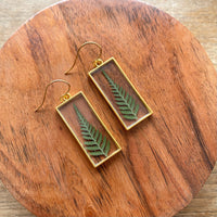 Ferns in Gold Rectangle