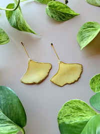 Pressed Ginkgo Leaf with Gold Stem Stud
