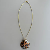 Scallop Seashell Necklace in Gold