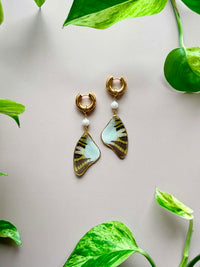 Real Five-Bar Swordtail Butterfly Wing Earrings with Pearls