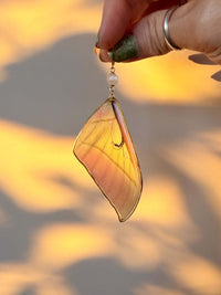 Real Luna Moth Wing Earrings with Moonstone