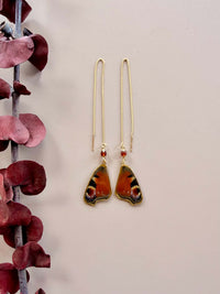 Real Peacock Butterfly Wing & Hessonite Threader Earrings in Gold