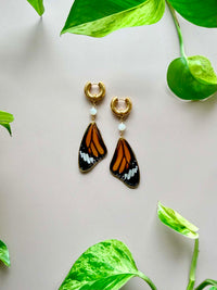 Real Monarch Butterfly Wing Earrings with Moonstone