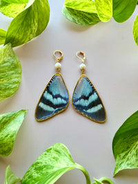 Real Alcides Orontes Moth Wing Earrings with Freshwater Pearls