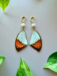 Real Great Orange Tipped Butterfly Wing Earrings with Freshwater Pearls