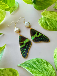 Real Sunset Moth Wing Earrings with Freshwater Pearls