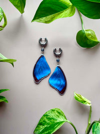 Real Morpho Didius Butterfly Wing Earrings with Labradorite