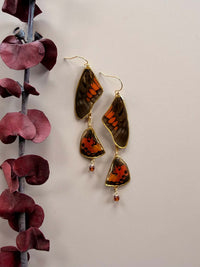 Chained Graphium Ridleyanus Butterfly Wings with Hessonite