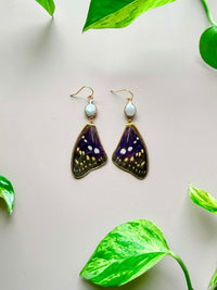 Real Great Purple Emperor Butterfly Wing Earrings with Pearls