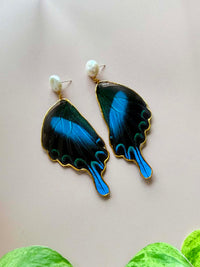 Real Papilio Blumei Peacock Swallowtail Butterfly Wing & Pearl Stud Earrings