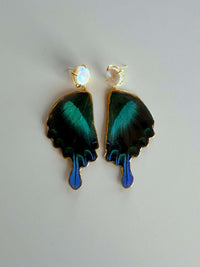 Real Papilio Blumei Peacock Swallowtail Butterfly Wing Pearl Stud Earrings