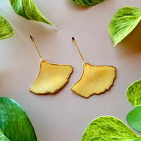 Pressed Ginkgo Leaf with Gold Stem Stud
