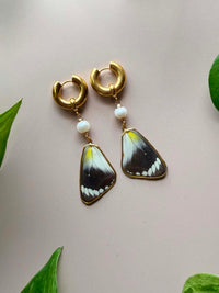 Real Jezebel Butterfly Wing Earrings with Freshwater Pearl