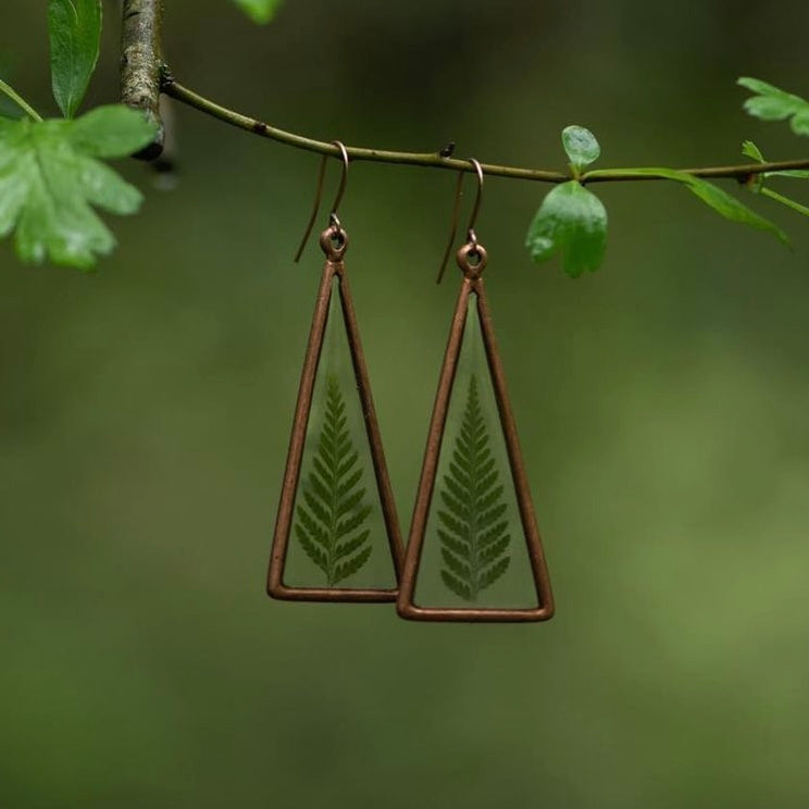 Ferns in Copper Triangles