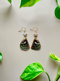 Real Great Purple Emperor Butterfly Wing Earrings with Star Pearls