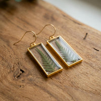 Ferns in Gold Rectangle