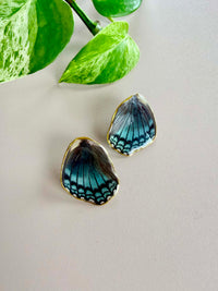 Real Limenitis Arthemis Butterfly Wing Stud Earrings