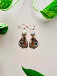 Real Peacock Butterfly Wing Earrings with Freshwater Pearls