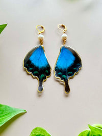 Real Papilio Blumei Peacock Swallowtail Butterfly Wing Earrings with Freshwater Pearls