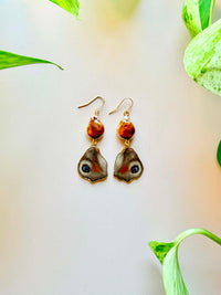 Real Peacock Butterfly Wing Earrings with Copper Pearls