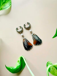 Real Tawny Mime Butterfly Wing Earrings with Silver Pearls