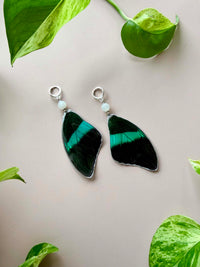 Real Papilio Blumei Peacock Swallowtail Butterfly Wing Earrings with Moonstone