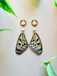 Real Paper Kite Butterfly Wing Earrings with Moonstone