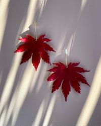 Real Japanese Maple Leaves with Gold Stem Studs