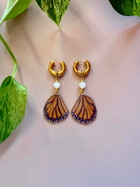 Real Monarch Butterfly Wing Earrings with Moonstone