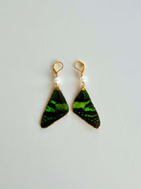 Real Sunset Moth Wing Earrings with Freshwater Pearls