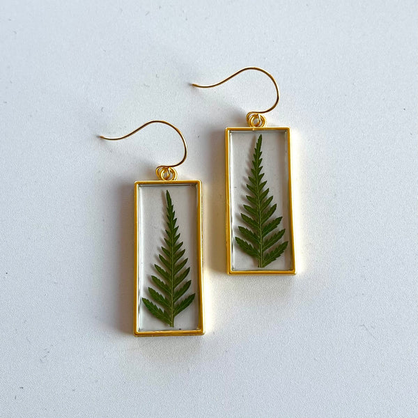 Ferns in Gold Rectangle