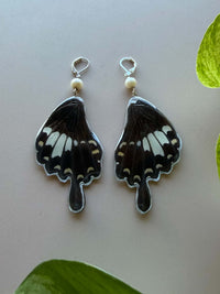 Real Papilio Nephelus Swallowtail Butterfly Wing Earrings with Freshwater Pearls