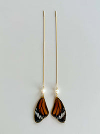 Real Monarch Butterfly Wing & Freshwater Pearls Gold Threader Earrings
