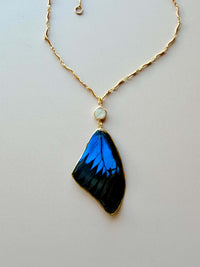Real Papilio Ulysses Swallowtail Mountain Blue Butterfly Wing Necklace