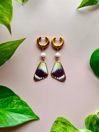 Real Jezebel Butterfly Wing Earrings with Freshwater Pearl