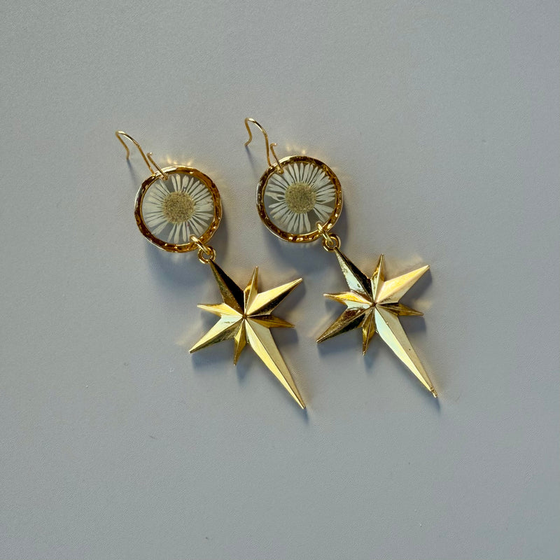 Daisy Moon & North Star