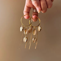 Cowrie Seashell Hoop Earrings