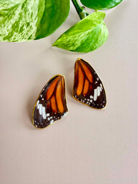 Real Monarch Butterfly Wing Stud Earrings